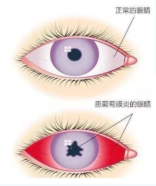 6377221911959971581457532.png?id=3042 6377221911959971581457532.png?id=3042